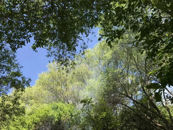 Céu Terra Lareiras Grama Paisagem Fogo Flores — Fotografia de Stock