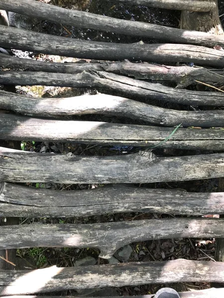 Cennet, dünya, şömineler, çimenler, manzara çiçekler yanıyor.