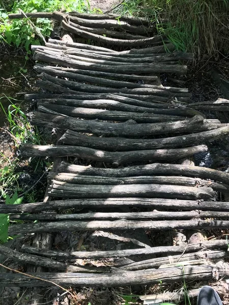 Cennet, dünya, şömineler, çimenler, manzara çiçekler yanıyor.