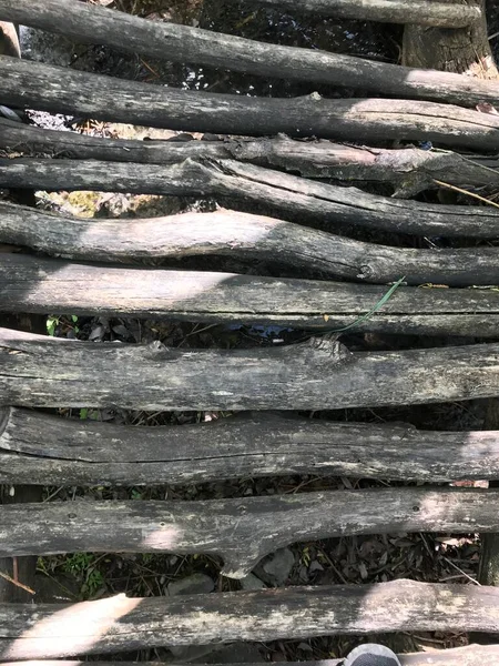 Cennet, dünya, şömineler, çimenler, manzara çiçekler yanıyor.