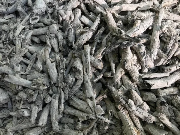 Cennet, dünya, şömineler, çimenler, manzara çiçekler yanıyor.