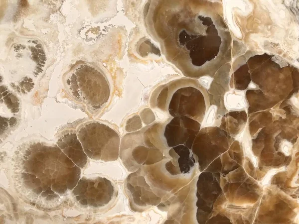 Cennet, dünya, şömineler, çimenler, manzara çiçekler yanıyor.