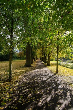 Gardelegen, Almanya 'da Saksonya-Anhalt eyaletinde yer alan bir şehirdir..