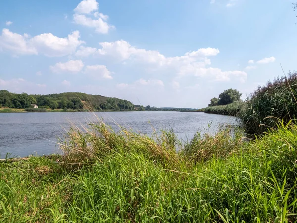 Oderbruch Est Paysage Situé Rivière Oder Allemagne Est Frontière Polonaise — Photo