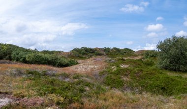 Der Gartower See entstand aus dem Fluss Seege, eines linken Elbzuflusses, der noerdlich von Gartow  in den 1970er Jahren kuenstlich aufgestaut wurde. 