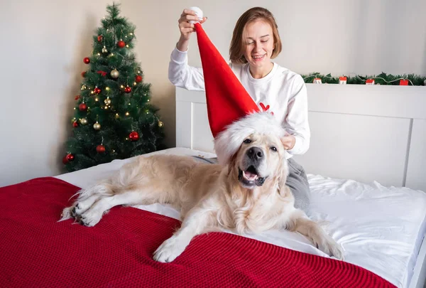 Una Joven Juega Con Perro Sentado Cerca Del Árbol Navidad —  Fotos de Stock