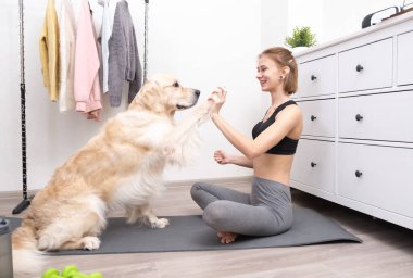 Kız evde köpeğiyle yoga pratiği yapıyor. Genç bir kadın ve evcil hayvanı evde antrenman yaparken eğleniyorlar. Komik bir golden retriever sahibinin yoga yapmasına yardım eder..