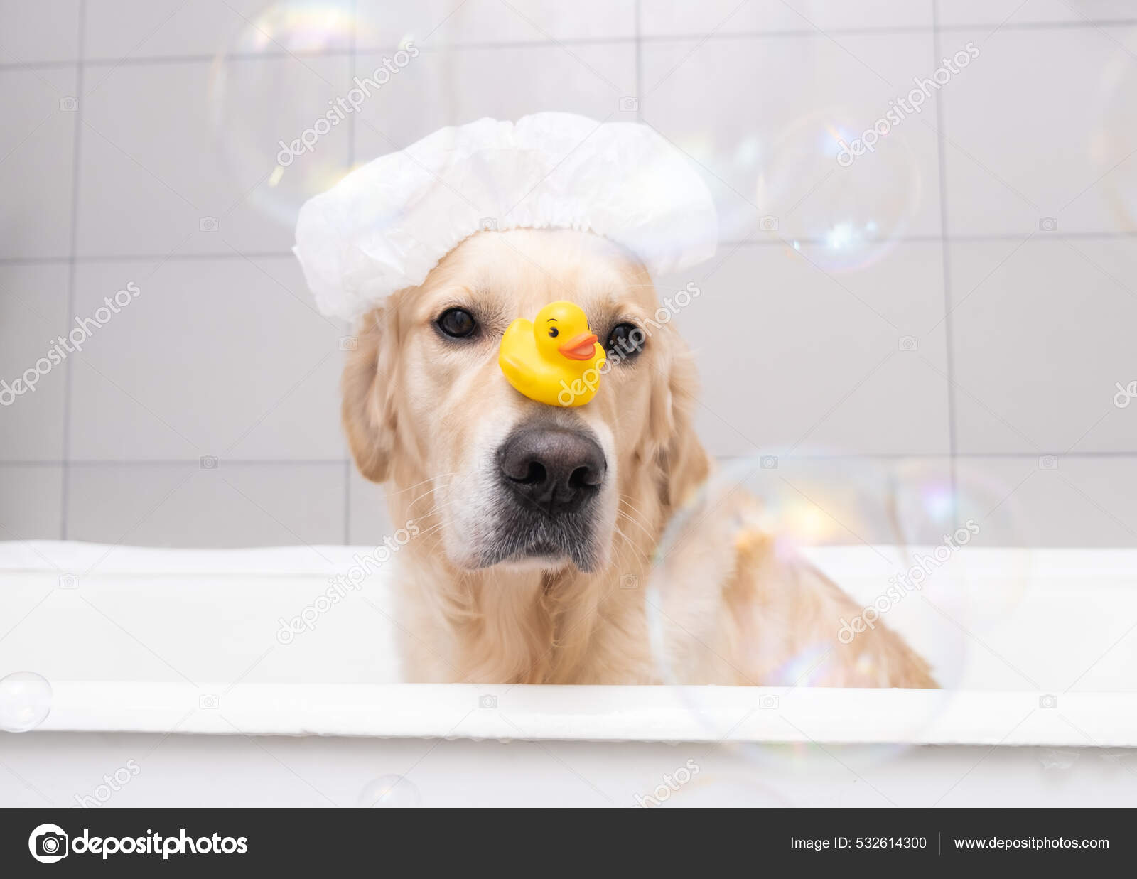 Dog Bath Bubbles
