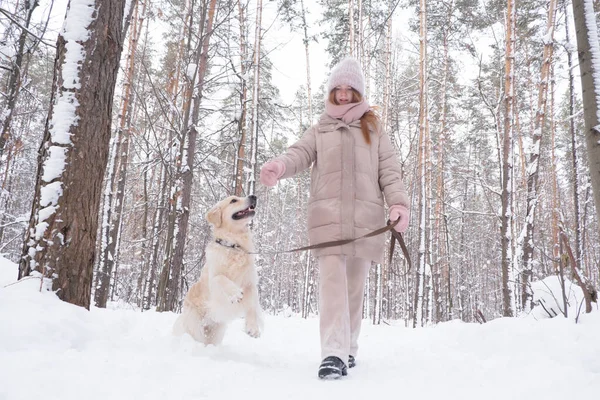 若い赤毛の女性が冬の森の中で犬と遊ぶ 美しい少女が金色のレトリバーを持つ絵のように美しい雪に覆われた公園を歩く ペットとの友情の概念 — ストック写真