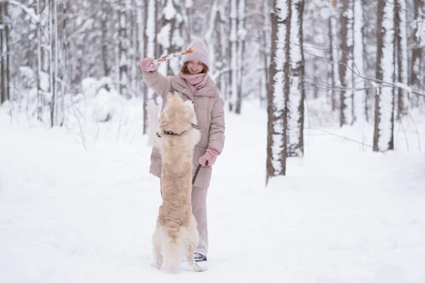 若い赤毛の女性が冬の森の中で犬と遊ぶ 美しい少女が金色のレトリバーを持つ絵のように美しい雪に覆われた公園を歩く ペットとの友情の概念 — ストック写真