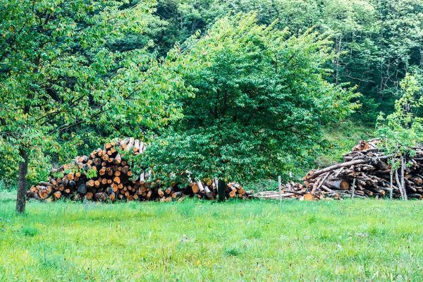 Photograph of a work area where trees are cut and felled.In the photo you can see logs cut and stacked ready for distribution.The photograph is taken in horizontal format.