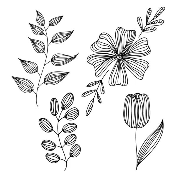Прості Квіткові Елементи Handrawn — стоковий вектор