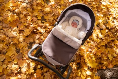 Bebek arabasındaki küçük bebek dışarıda. Etrafında sarı yapraklar.