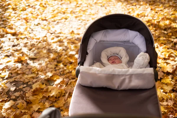 Little baby boy in stroller outdoors. Yellow leaves around him. — Stock Photo, Image