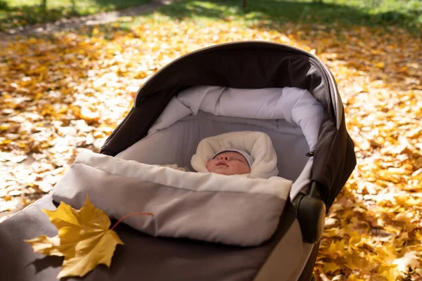 屋外のベビーカーの中の小さな赤ちゃん。彼の周りに黄色の葉. — ストック写真