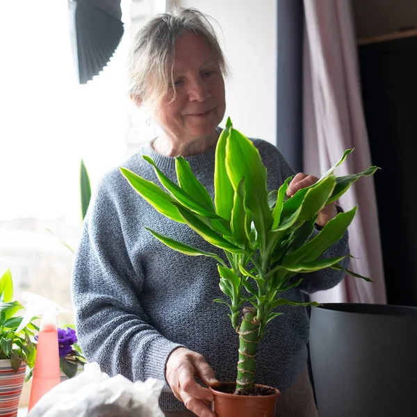 Mulher plantando uma flor e primavera limpeza. — Fotografia de Stock