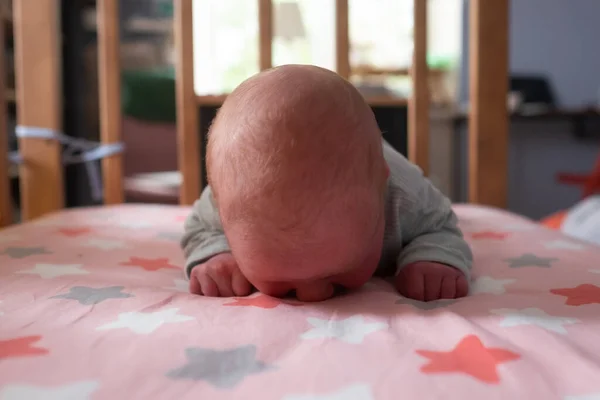 Newborn baby study to crawl on bed — Stock Photo, Image