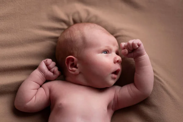 赤ん坊男の子ポーズのために彼の最初の肖像画 — ストック写真