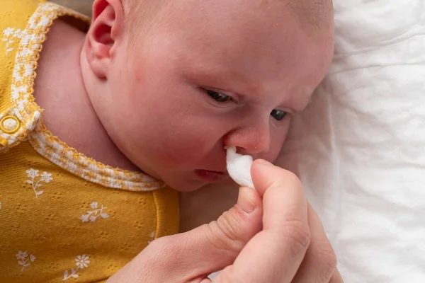 Cleaning newborn nose from boogers with a cotton swab — Stock Photo, Image