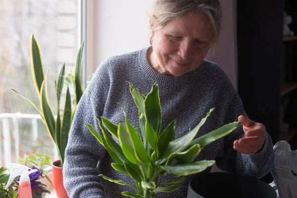 Caucasian woman taking care of a flower — Fotografia de Stock