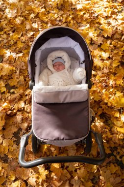Sonbahar parkında uyuyan bebek portresi