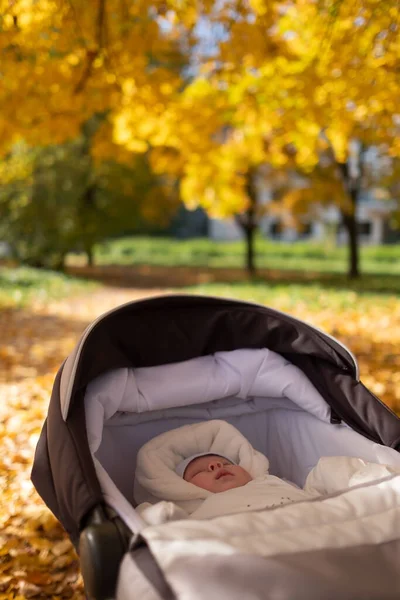 Portrait of sleeping baby in autumn park — Stock Photo, Image