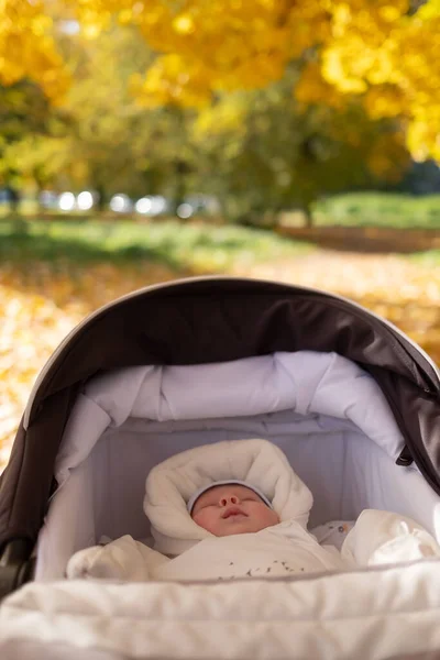 Portrait of sleeping baby in autumn park — Stock Photo, Image