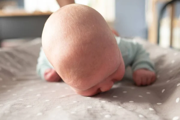 Newborn baby study to crawl on bed — Stock Photo, Image