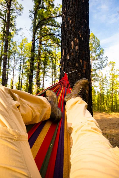 Man Enjoying Alternative Free Lifestyle Forest Woods Laying Hammock Relax — Stock Photo, Image
