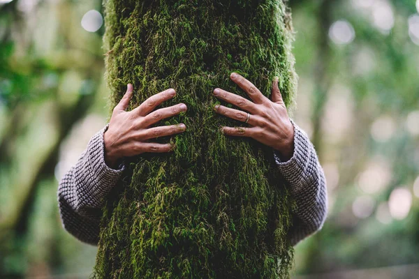 Amoureux Nature Étreignant Tronc Arbre Avec Musc Vert Dans Forêt — Photo