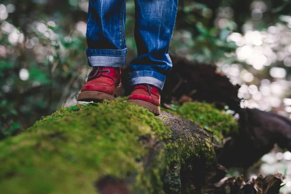 森の中の緑のマスクの幹を歩く人々 赤い靴とインナーバランスのライフスタイルのコンセプト — ストック写真