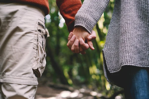 Cropped Shot Couple Holding Hands Green Forest Background — Stock fotografie