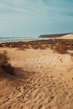 Yazın güzel kumlu plaj manzarası. Tatil tatili kavramı. Kum tepeleri ve arka planda mavi gökyüzü ile okyanus