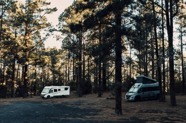 Birkaç kamp aracının park edildiği vahşi bir kamp alanı. Vahşi ve manzaralı orman ayrımcılığı yolculuk tatili ve gezgin şehvet boş yaşam tarzı