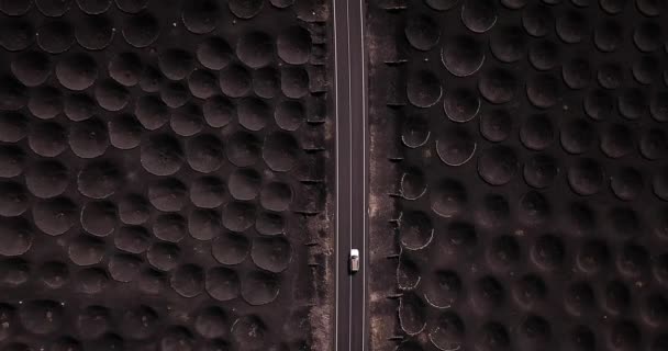 Paisaje Volcánico Visto Desde Dron Con Agujeros Para Producir Vino — Vídeos de Stock