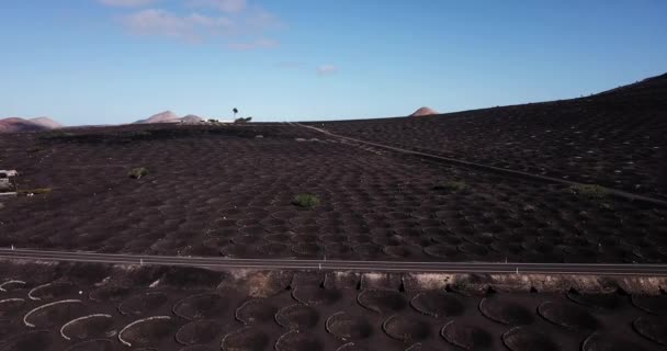 Vulkanisch Landschap Gezien Vanaf Drone Met Gaten Wijn Produceren Landbouw — Stockvideo