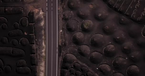 从带有孔洞的无人飞机上看到的火山景观可以在农业生产中生产葡萄酒 Vineyard Volcan Sand 旅行和欣赏地球上罕见的户外地方的惊人目的地 — 图库视频影像