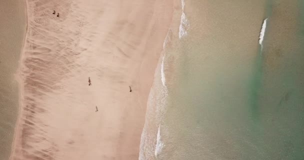 Pionowy Widok Piasek Plażę Przezroczystą Wodą Morską Wakacje Letnie Nad — Wideo stockowe