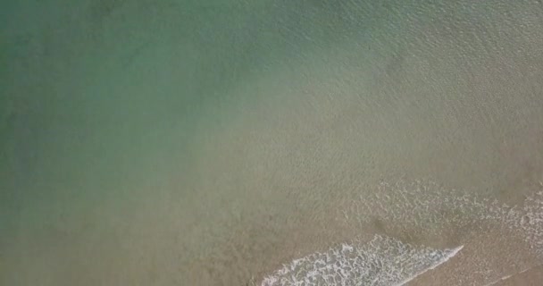 투명하고 바닷물 모래와 해변의 수직적 지방의 여행지 — 비디오