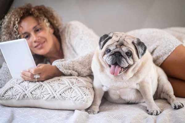 Πορτρέτο Του Ευτυχισμένου Σκύλου Γυναίκα Ιδιοκτήτη Χαλαρωτικό Που Βρίσκεται Στο — Φωτογραφία Αρχείου