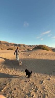 Gün batımında tepelerde köpekli mutlu kadın