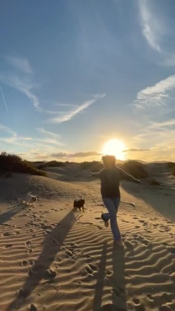 Happy Woman Dunes Pugs Sunset — Stock video