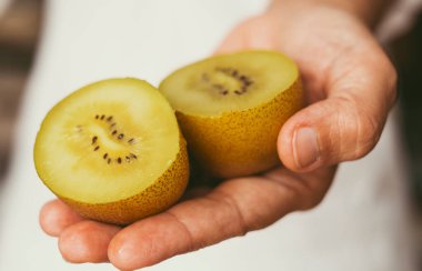 Güneşli kivi vitamin meyvelerini iki parçaya ayır. Sağlıklı beslenme için gıda ve vitamin kavramı. Yeşil kivi tutan yetişkin bir kadın. Çiftçi tarım ürünleri