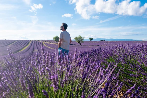 Man Turist Står Mitten Lavendel Fält Europa Sommarsemester Fritidsaktivitet Människor — Stockfoto