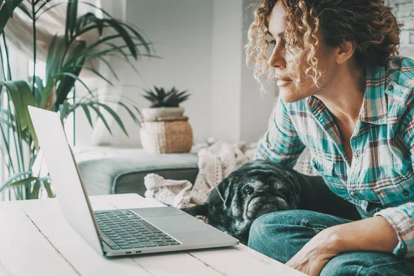 Жінка Працює Ноутбуці Сконцентрована Дивлячись Екран Прекрасний Собака Розслабляється Концепція — стокове фото