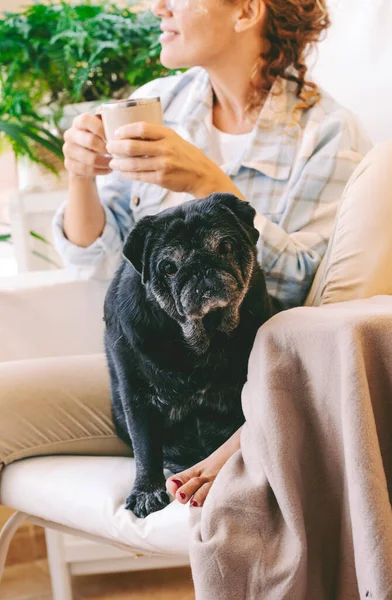Siyah Köpek Kadın Sahibinin Portresi Evde Aynı Sandalyede Oturarak Eğleniyor — Stok fotoğraf