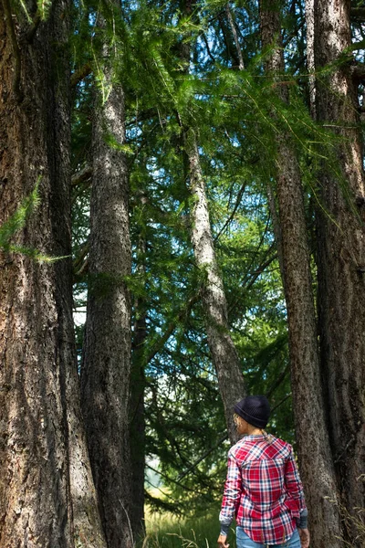 对自然界中的人的回顾 山国家公园里的妇女和高树的概念 旅游和自然爱好者 森林保护 其他假日假期和休闲活动 — 图库照片