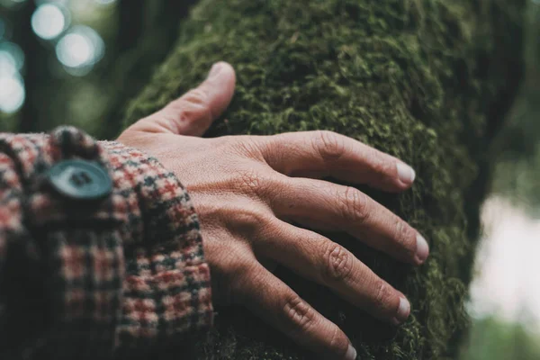 Close Female Hand Touching Feeling Green Nature Tree Musk Concept — Photo