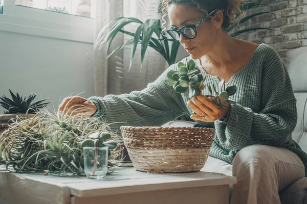 One woman enjoy indoor gardening at home working with plants. Leisure activity at home. Female with eyeglasses work with green nature inside house. Real. life people in apartment. Green moody colors