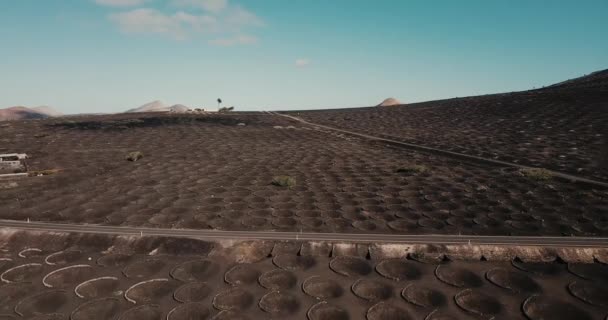 Paisaje Volcánico Visto Desde Dron Con Agujeros Para Producir Vino — Vídeo de stock